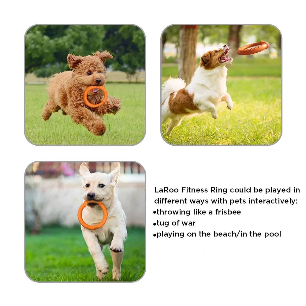 Dog Training Ring for Interactive Play, Green, Large