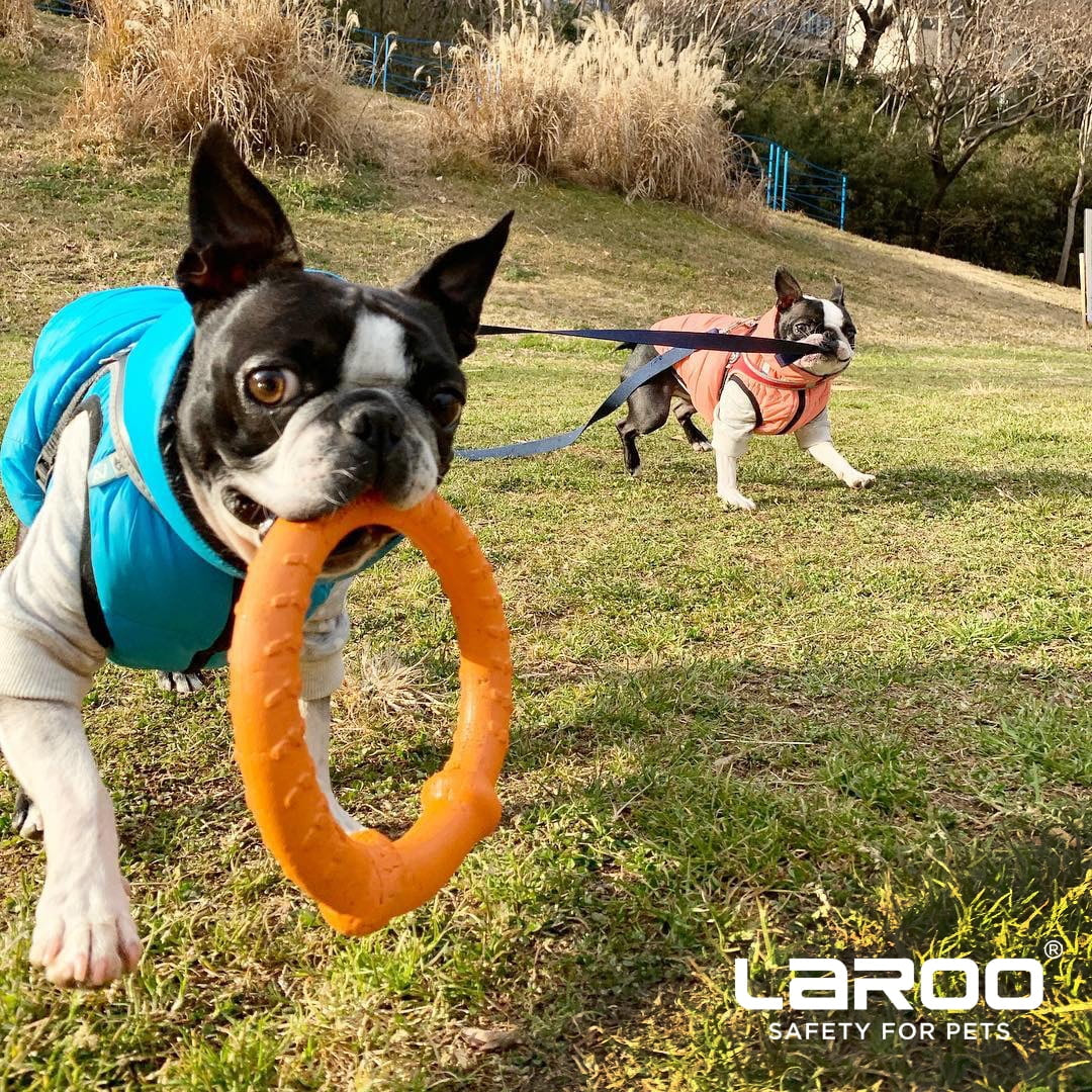 Dog Training Ring for Interactive Play, Green, Large