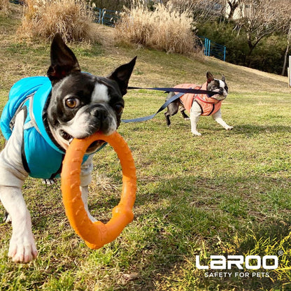 Dog Training Ring for Interactive Play, Green, Large