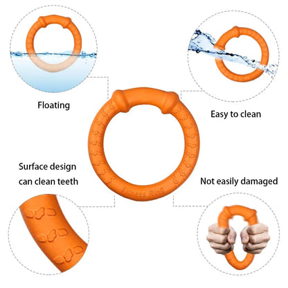 Dog Training Ring for Interactive Play, Green, Large